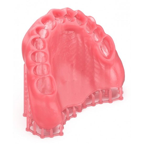 Ρητίνη 3D Εκτύπωσης DENTURE BASE