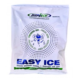 EASY ICE